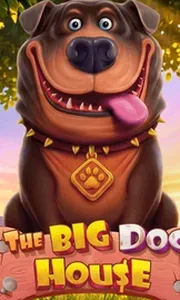 The Big Dog House